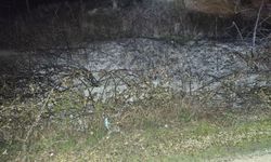 Küçük çaplı ot yangını erken müdahaleyle söndürüldü