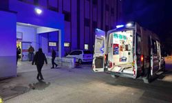 Kuzenini tüfekle vurarak öldürdü