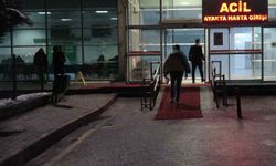 Malatya'da karbonmonoksit zehirlenmesinde sayı 113'e yükseldi