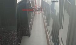 Bursa'da yurtdışı bağlantılı kundakçı çeteye operasyon yapıldı, 8 şüpheli yakalandı