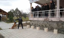 OMÜ'de yetiştirilen görev köpeği 'Pars', Samsun Emniyeti'ne teslim edildi