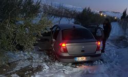 Otomobil şarampole girdi: 2 yaralı