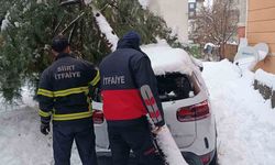 Siirt'te karın ağırlığına dayanamayan çam ağacı otomobilin üzerine devrildi