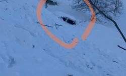 Şırnak'ta 5 kişinin yaşadığı eve çığ düştü