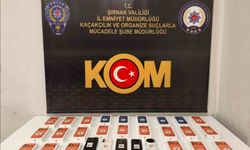 Şırnak'ta narkotik ve kaçakçılık operasyonu: 3 tutuklama