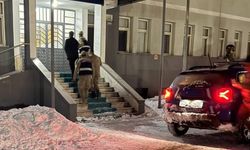 Tunceli'de yavru köpeğe eziyet eden şahıs tutuklandı