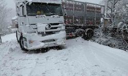 Türkeli'de doğalgaz tırı karda kaydı, yol ulaşıma kapandı