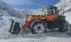 Van-Çatak yolu kontrollü olarak ulaşıma açıldı