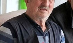 Yolun karşısına geçmek isterken hayatını kaybetti