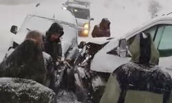 Yüksekova'da buzlu yolda 2 kamyonet çarpıştı