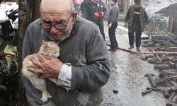 Kedisine sarıldığı o fotoğrafla hafızalara kazınmıştı!
