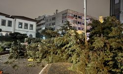 Antalya'da hortum etkili oldu