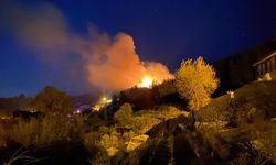 Antalya'da orman yangını