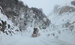 AFAD, 28 il için çığ uyarısı