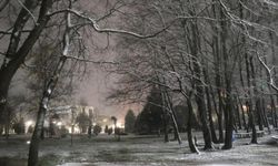 Sakarya'da lapa lapa kar yağışı başladı