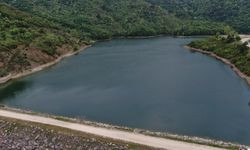 “Bursa’nın Suyu Saksıya Akmasın” Çağrısı: Hidroponik Üretime Eleştiri