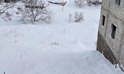 Çığ düşen evdeki 5 kişi kurtarıldı