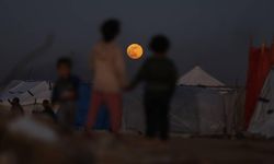 Filistin'in BM Daimi Temsilcisi Riyad: İsrail, Filistin topraklarında egemen değildir