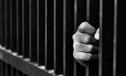 Müslüman milletvekilinin hapse atılmasını istedi