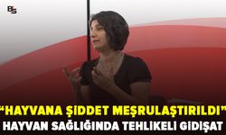 Bursa'da hayvan sağlığında tehlikeli gidişat