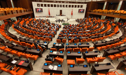 Meclis'teki 'çocuk tacizi' davası ertelendi!