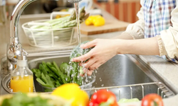 Sebzede Fiyat Patlaması: Havuç Katlandı, Kabak Rekor Kırdı