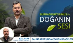 Doğanın Sesi | Doğanın, Sanatın ve Hakikatin Kesişiminde Bir Yönetmen: Ezel Akay