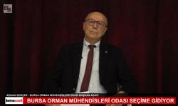 Adnan Gençer'den uyarı:Ormanlarda yanlış kararlar doğayı yıpratıyor