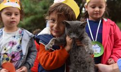 Yıldırım'da patili dostlara sıcak yuva