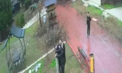 Adana'da 4 çocuk parktaki kuş yuvasını parçaladı