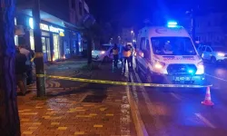 Ticari aracın çarptığı kişi can verdi