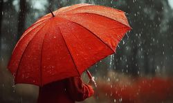 Bugün Bursa'da hava nasıl olacak? (2 Şubat Pazartesi)