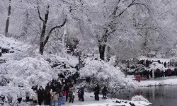 New York’ta soğuk hava 18 can aldı