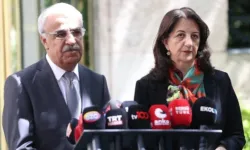 DEM Parti heyeti, İmralı Adası'nı ziyaret edecek