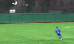 Kalecinin degajıyla vurulan martı kalp masajı ile yaşadı