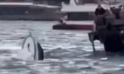 Yolcu vapuru balıkçı teknesine çarptı