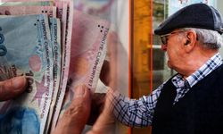 ‘Maaşlar azalıyor’ deyip emekli için yeni sistemi açıkladı