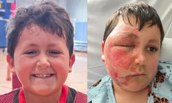 O oyuncak kabusu yaşattı!