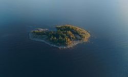 Tek bir şart var: Seçilecek 5 kişiye ada verilecek!