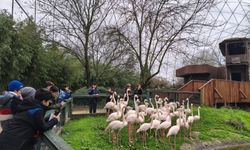 Bursa'da doğa dedektifleri iz peşinde