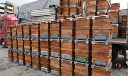 Bursa'da üreticiye bir destek daha: 3 bin 400 adet kovan...