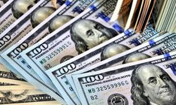 Yüzlerce hesaba yanlışlıkla 44 milyar dolar gitti