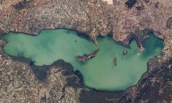 DOĞADER Başkanı Murat Demir’den çarpıcı sulak alan uyarısı