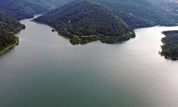 Türkiye'de kuraklık alarmı kalktı: Ülke genelinde 'risk yok'