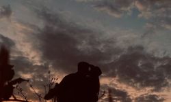 Dudak dudağa paylaştı