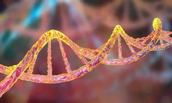 Kayseri'de 7 çocuk literatüre girdi