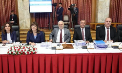 DEM Parti'den süreç komisyonunun ortak raporuna muhalefet şerhi