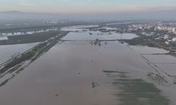 Bursa'da binlerce dekar ekili alan sular altında