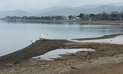 İznik Gölü'nde kuraklık alarmı