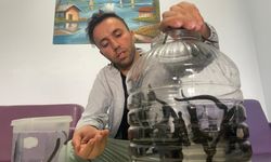 Kadınlar cilt güzelliğini sülükte arıyor